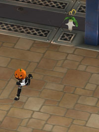 かぼちゃさん.jpg